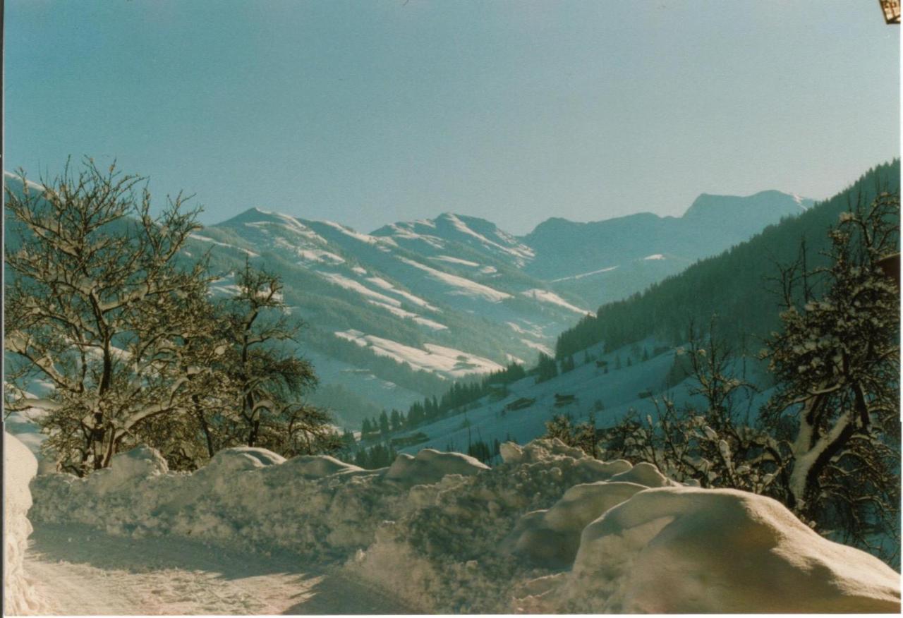 Gruberhof Βίλα Reith im Alpbachtal Εξωτερικό φωτογραφία