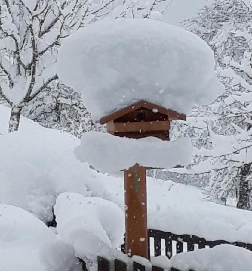 Gruberhof Βίλα Reith im Alpbachtal Εξωτερικό φωτογραφία